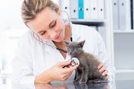 veterinary 2
