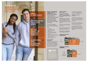 Bangor International College