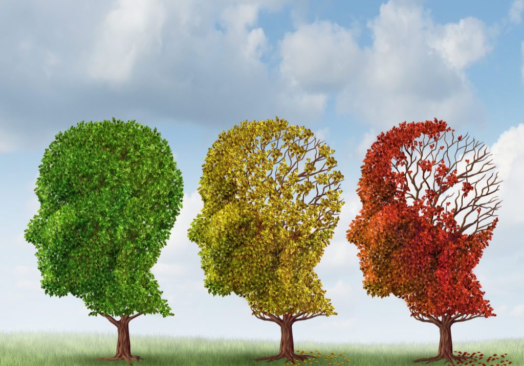 Brain aging and memory loss due to Dementia and Alzheimer's disease with the medical icon of a group of color changing autumn fall trees in the shape of a human head losing leaves as a loss of thoughts and intelligence function.